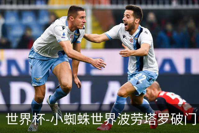 世界杯-小蜘蛛世界波劳塔罗破门 阿根廷加时3-1瑞士将战英格兰